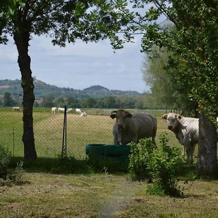 Gite A La Ferme De La Bouriette Revel (Haute-Garonne) Exterior foto