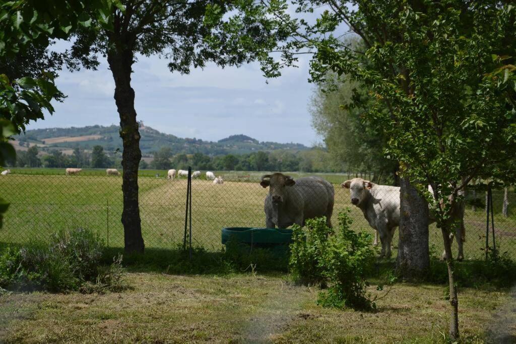 Gite A La Ferme De La Bouriette Revel (Haute-Garonne) Exterior foto